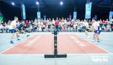 Giải Pickleball Cúp NTV - Bia Sao Vàng lần thứ II năm 2026: Một giải đấu, nhiều giá trị lan tỏa