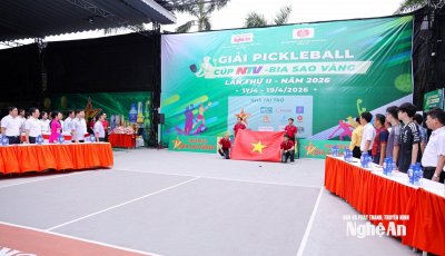 Gần 400 vận động viên tham gia Giải Pickleball Cúp NTV - Bia Sao Vàng